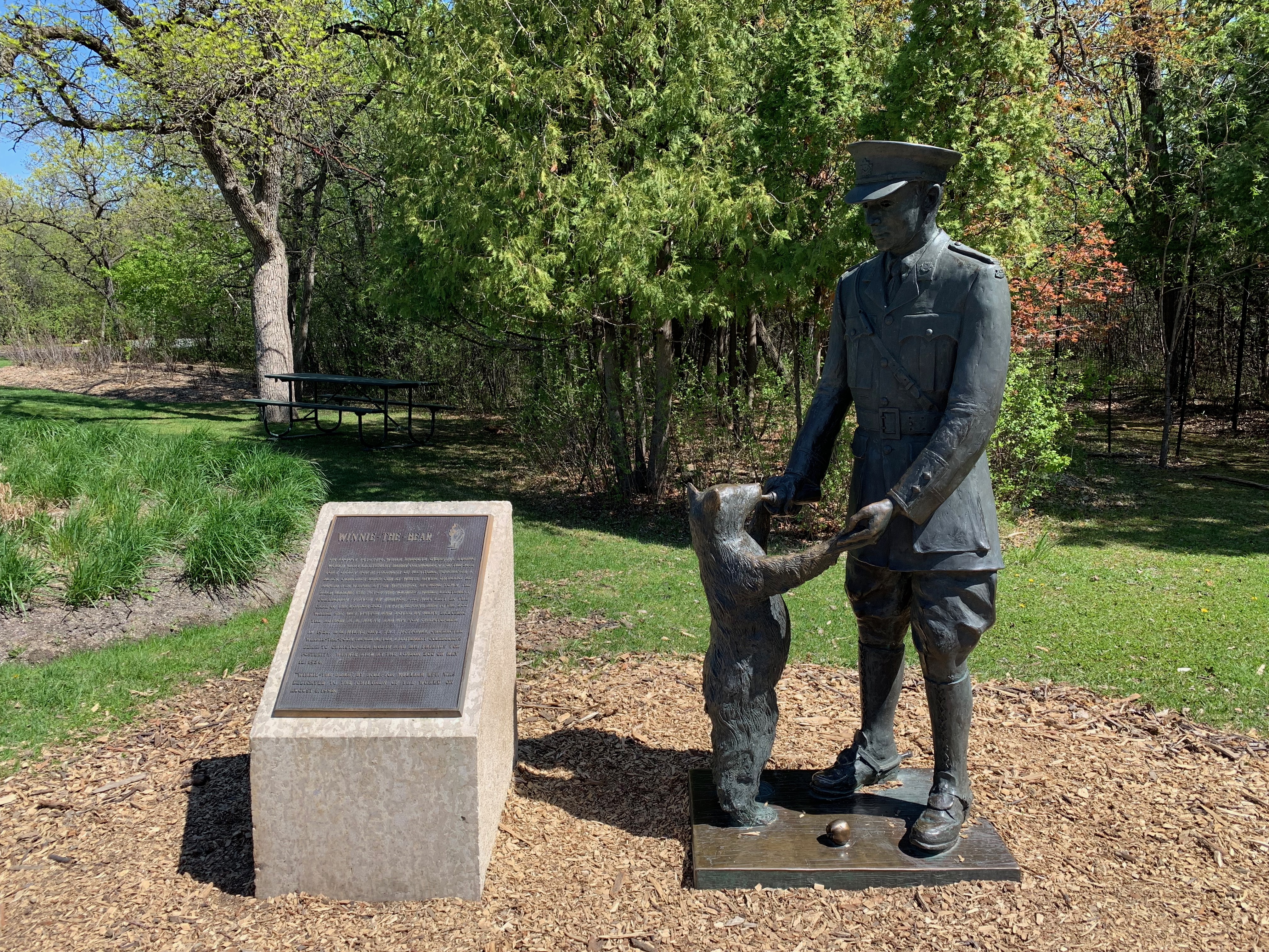 Winne the Bear in Assiniboine Park