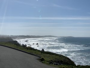 Read more about the article Bodega bay to Garberville