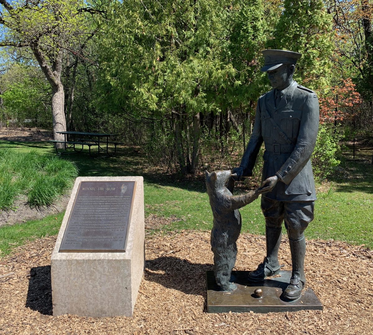 Winne the Bear in Assiniboine Park